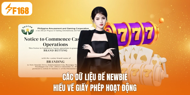 Các dữ liệu để newbie hiểu về giấy phép hoạt động