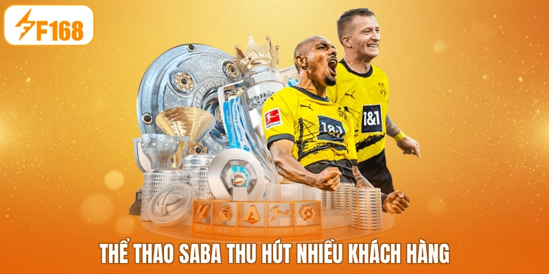 Thể thao SABA thu hút nhiều khách hàng