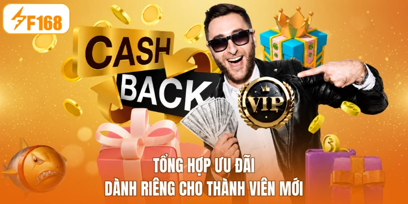 Tổng hợp ưu đãi dành riêng cho thành viên mới